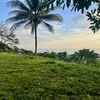  - Premium Ocean View Estate Parcel with Creek and Sunset Exposure