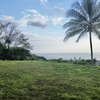  - Premium Ocean View Estate Parcel with Creek and Sunset Exposure