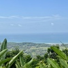  - Premium Ocean View Estate Parcel with Creek and Sunset Exposure