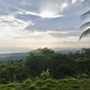  - Premium Ocean View Estate Parcel with Creek and Sunset Exposure
