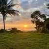  - Premium Ocean View Estate Parcel with Creek and Sunset Exposure