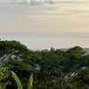  - Premium Ocean View Estate Parcel with Creek and Sunset Exposure