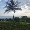  - Premium Ocean View Estate Parcel with Creek and Sunset Exposure
