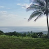  - Premium Ocean View Estate Parcel with Creek and Sunset Exposure