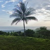  - Premium Ocean View Estate Parcel with Creek and Sunset Exposure