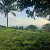  - Premium Ocean View Estate Parcel with Creek and Sunset Exposure