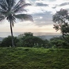  - Premium Ocean View Estate Parcel with Creek and Sunset Exposure