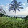  - Premium Ocean View Estate Parcel with Creek and Sunset Exposure