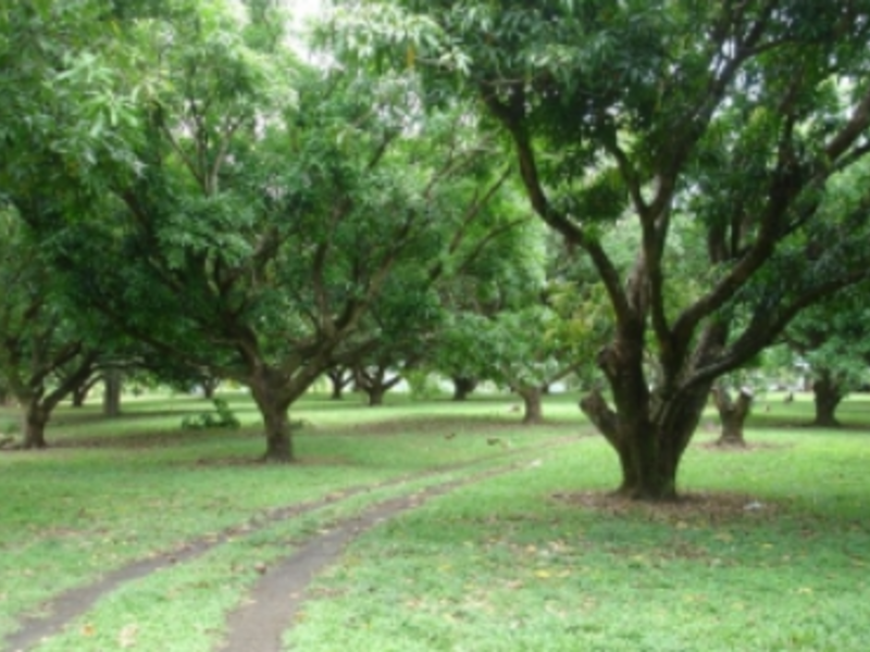 2 bed Land For Sale in Orotina, Alajuela - 1