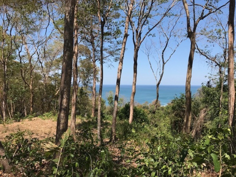0 bed Land For Sale in Playa Hermosa Santa Teresa, Puntarenas - 1