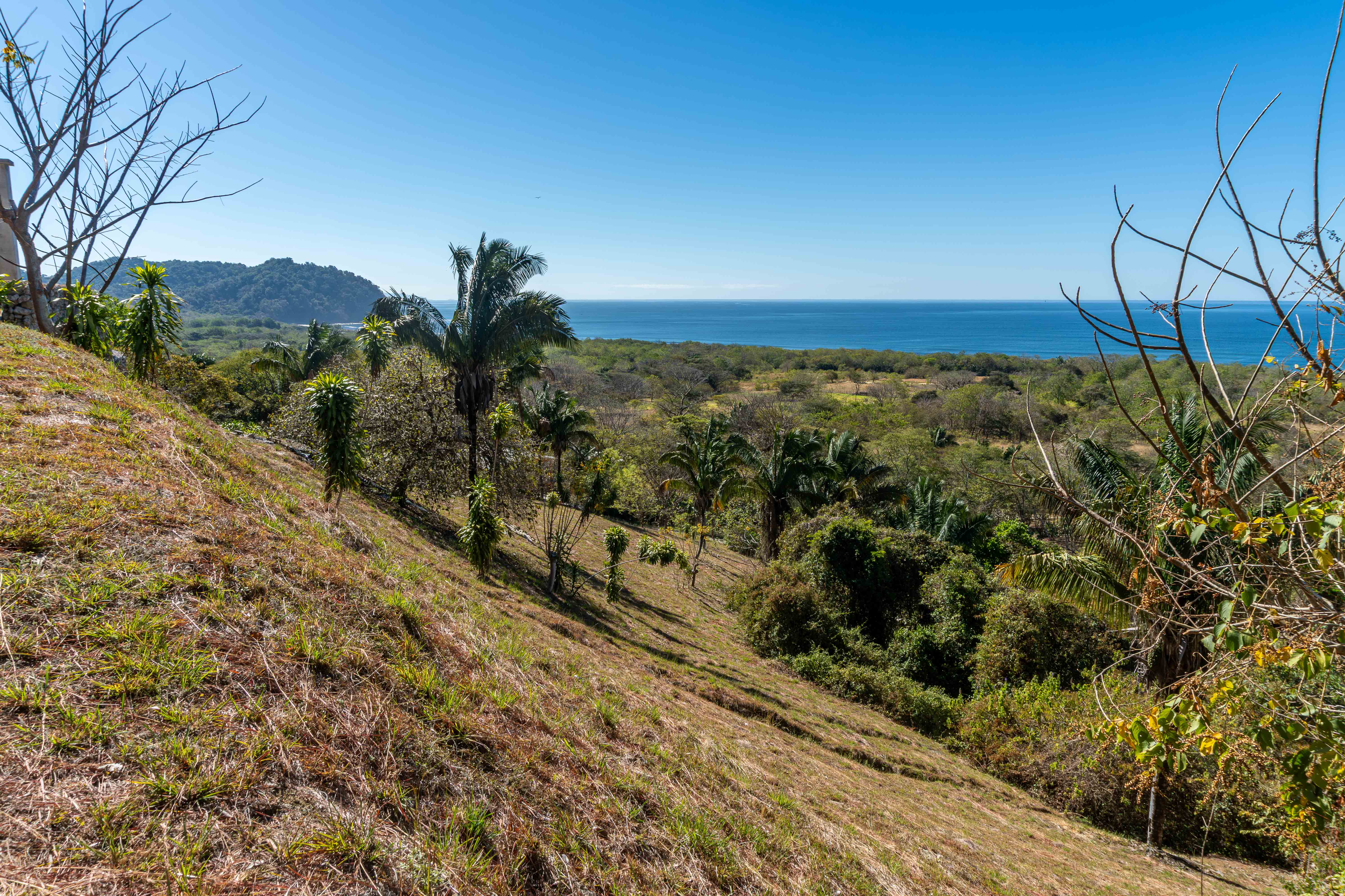 0 bed Land For Sale in Playa Camaronal, Guanacaste - thumb 1