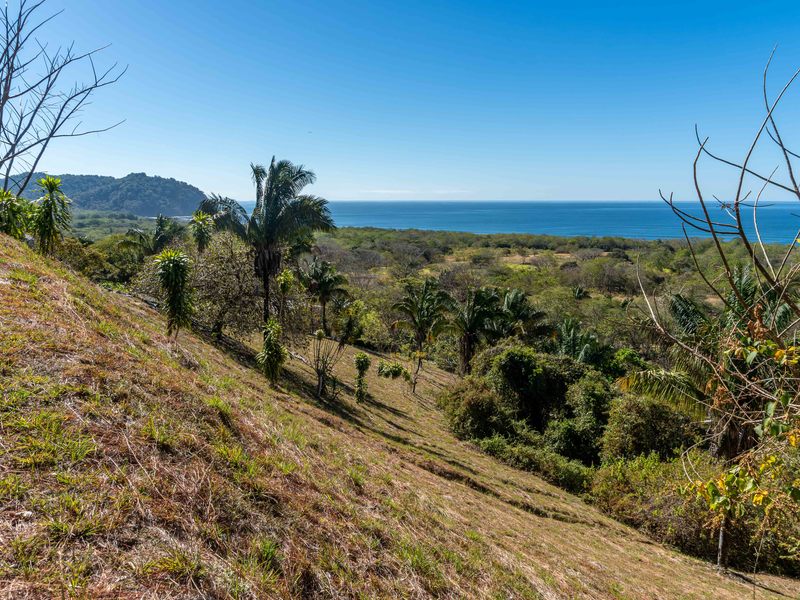 0 bed Land For Sale in Playa Camaronal, Guanacaste - 1
