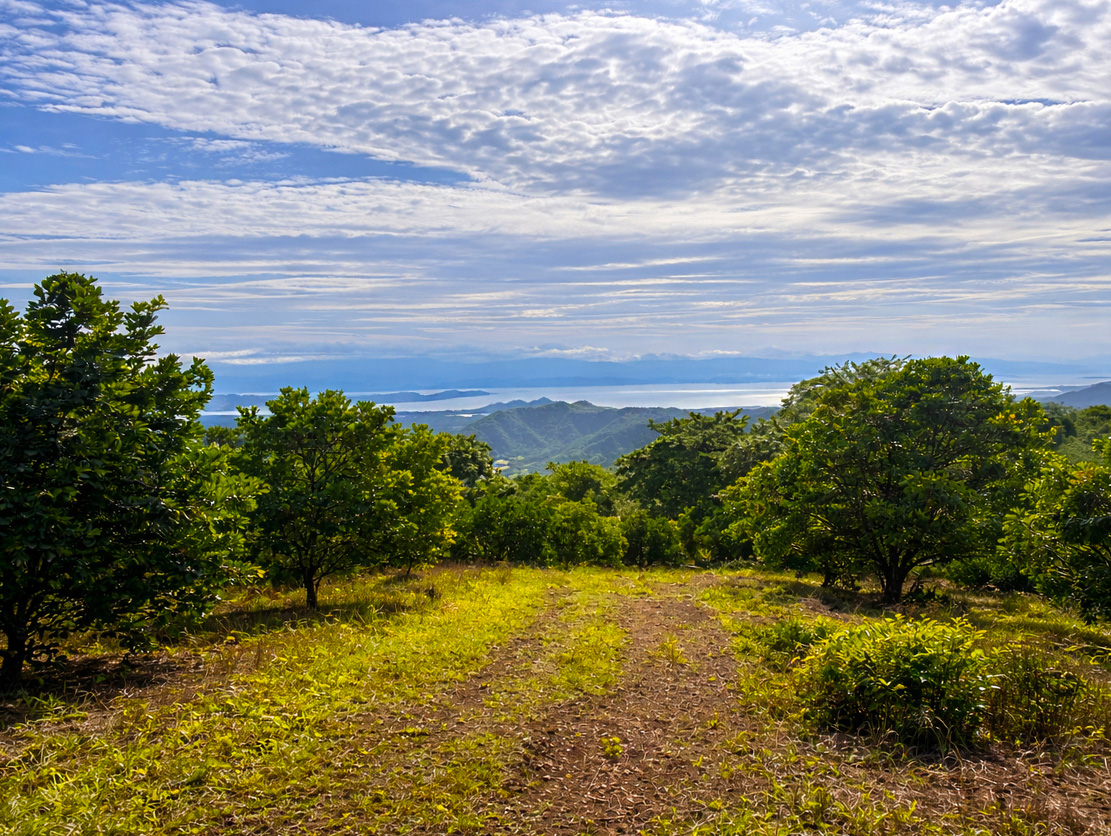 7 bed Single Family Homes For Sale in Hojancha, Guanacaste - thumb 8