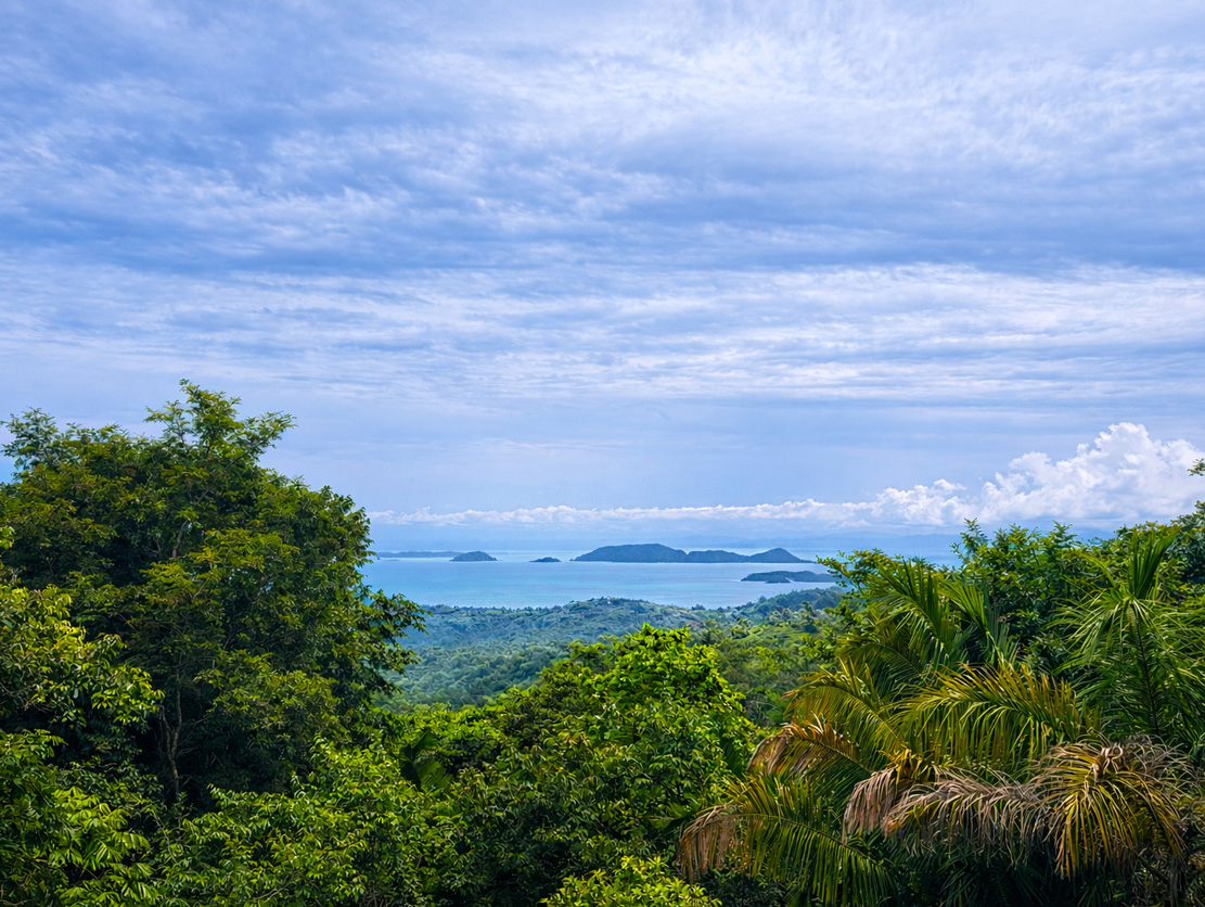 7 bed Single Family Homes For Sale in Hojancha, Guanacaste - thumb 14