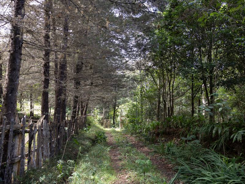0 bed Land For Sale in Dota, San Jose - hero 5