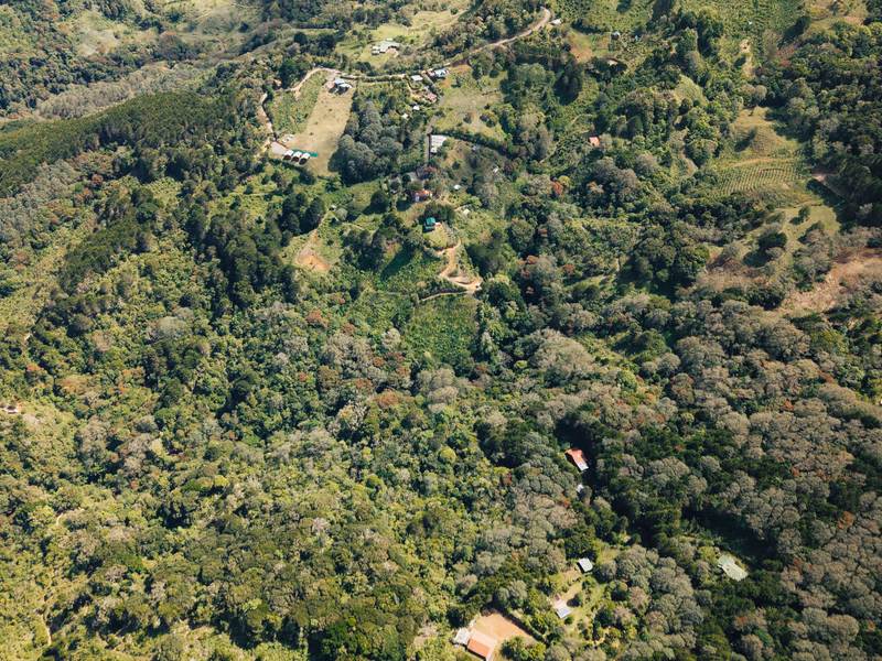 0 bed Land For Sale in Dota, San Jose - hero 10