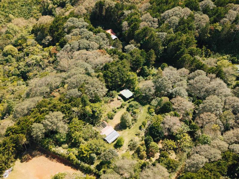 0 bed Land For Sale in Dota, San Jose - hero 6