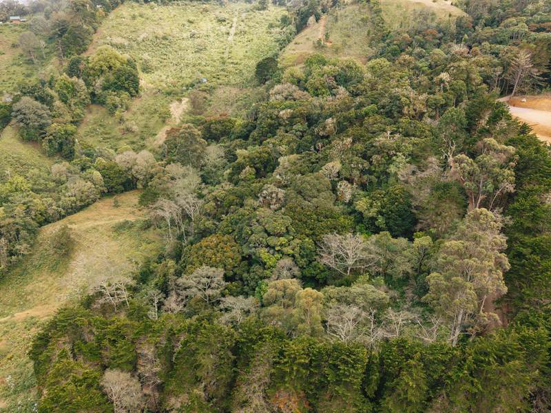 0 bed Land For Sale in Dota, San Jose - hero 7