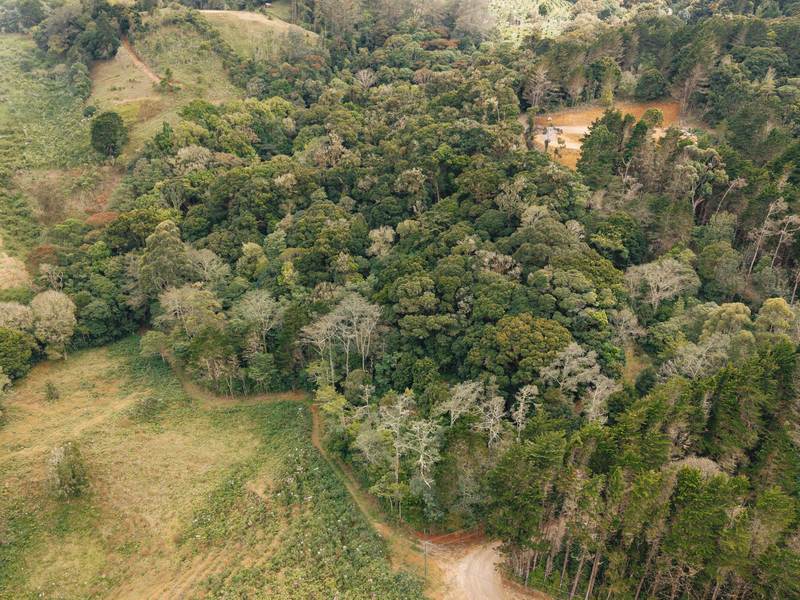 0 bed Land For Sale in Dota, San Jose - hero 5