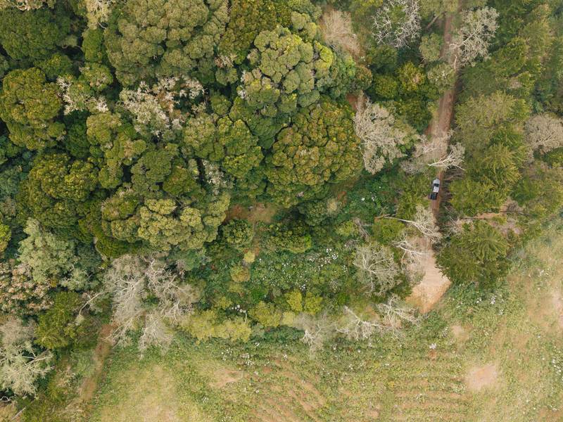 0 bed Land For Sale in Dota, San Jose - 1