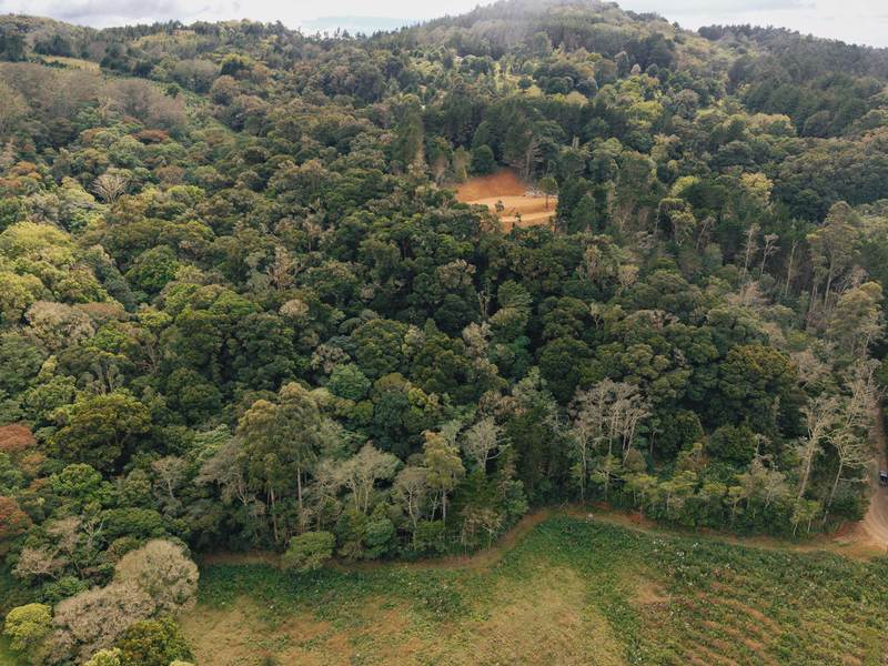 0 bed Land For Sale in Dota, San Jose - hero 6