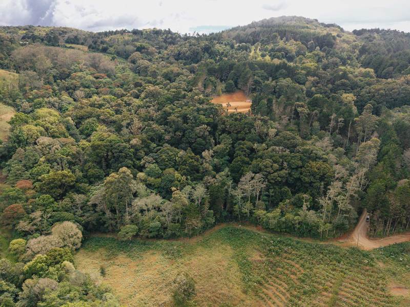 0 bed Land For Sale in Dota, San Jose - hero 3