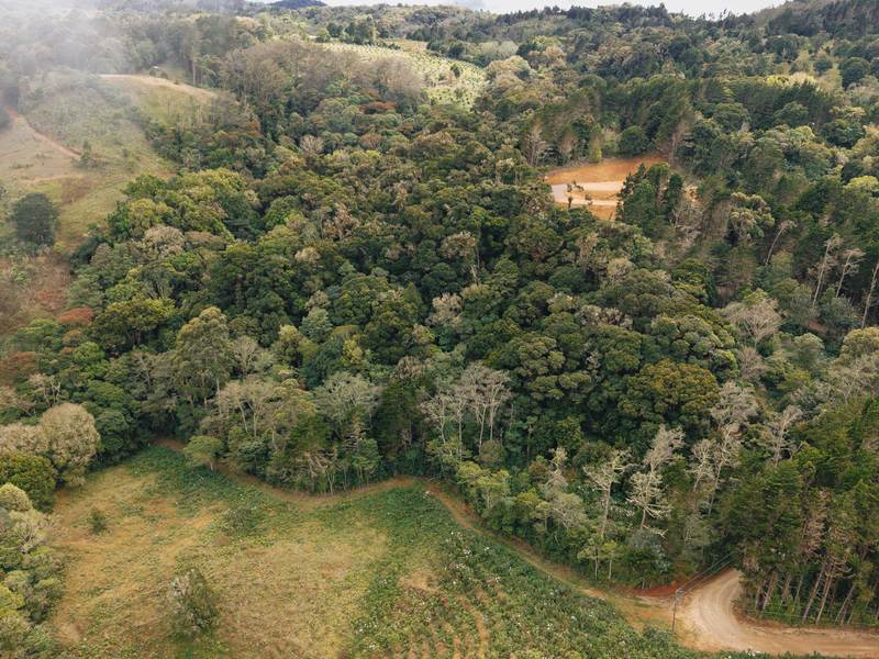0 bed Land For Sale in Dota, San Jose - hero 2