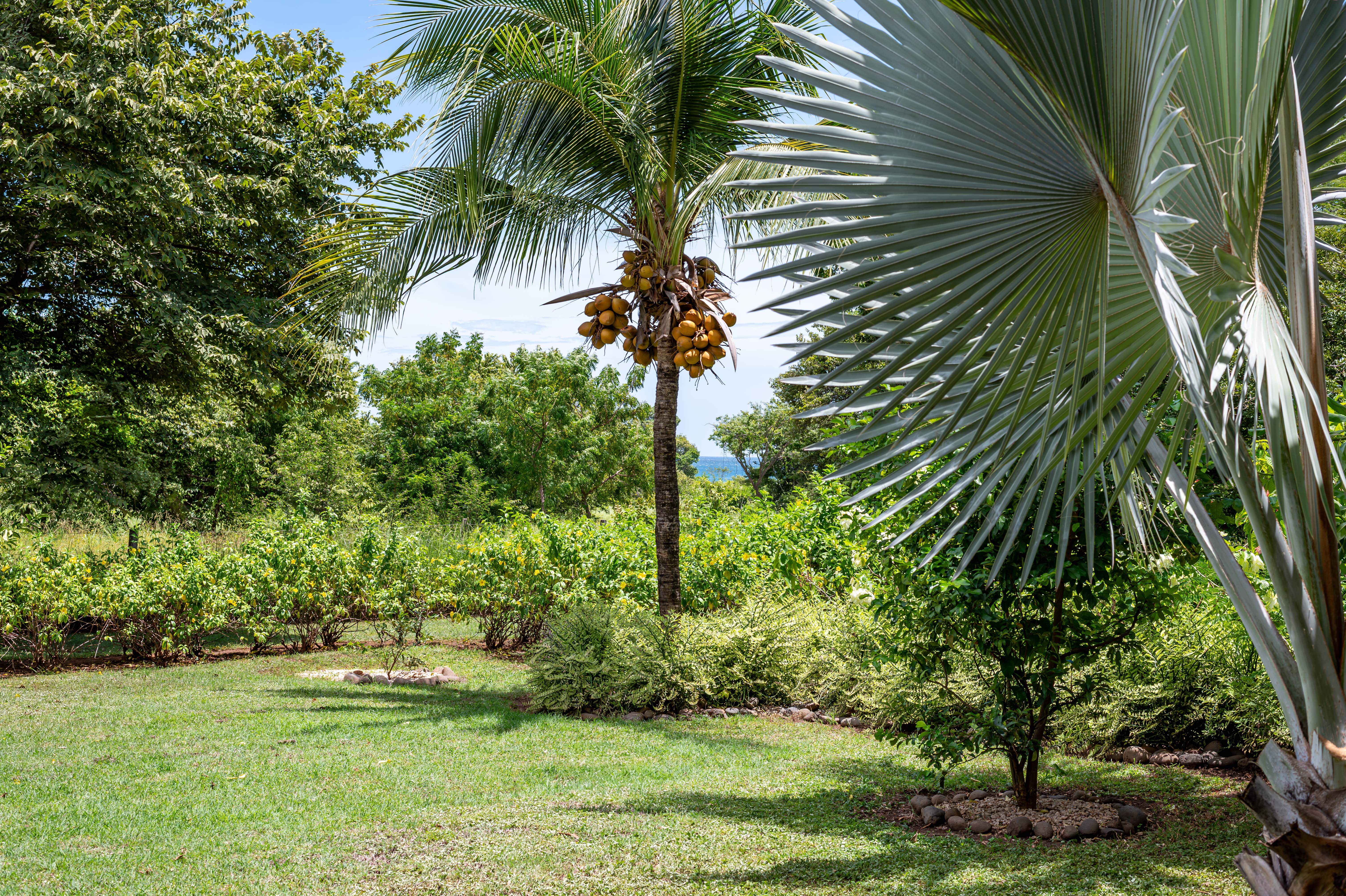 3 bed Single Family Homes For Sale in Hacienda Pinilla, Guanacaste - thumb 23