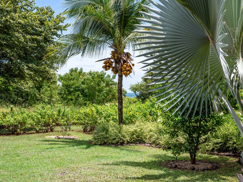 3 bed Single Family Homes For Sale in Hacienda Pinilla, Guanacaste - hero 23