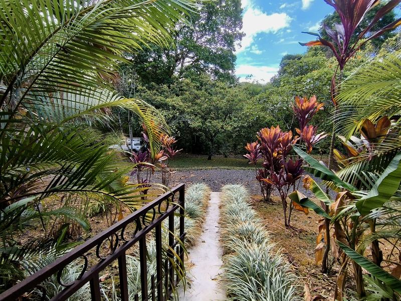 3 bed Single Family Homes For Sale in Atenas, Alajuela - hero 4