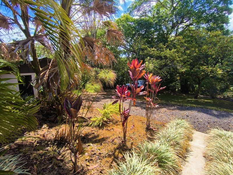 3 bed Single Family Homes For Sale in Atenas, Alajuela - hero 19