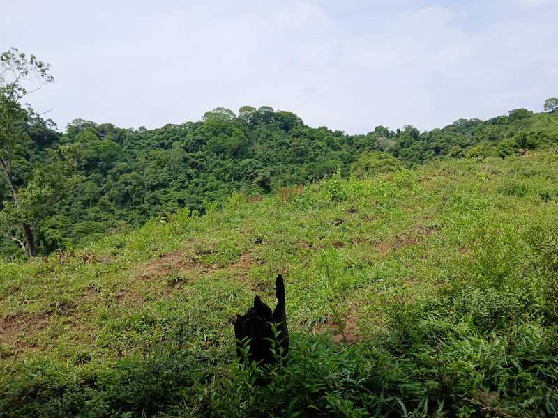 0 bed Land For Sale in Naranjo, Guanacaste - hero 4