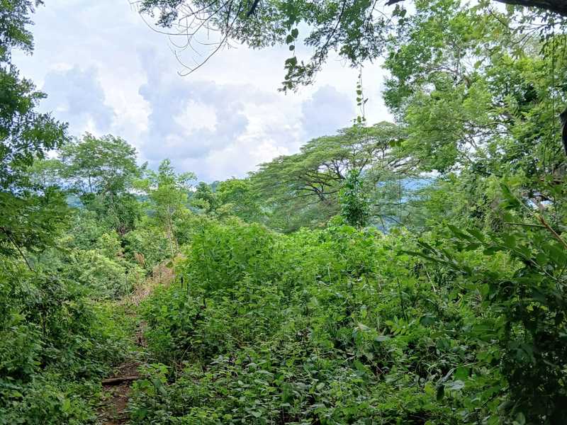 0 bed Land For Sale in Naranjo, Guanacaste - hero 5