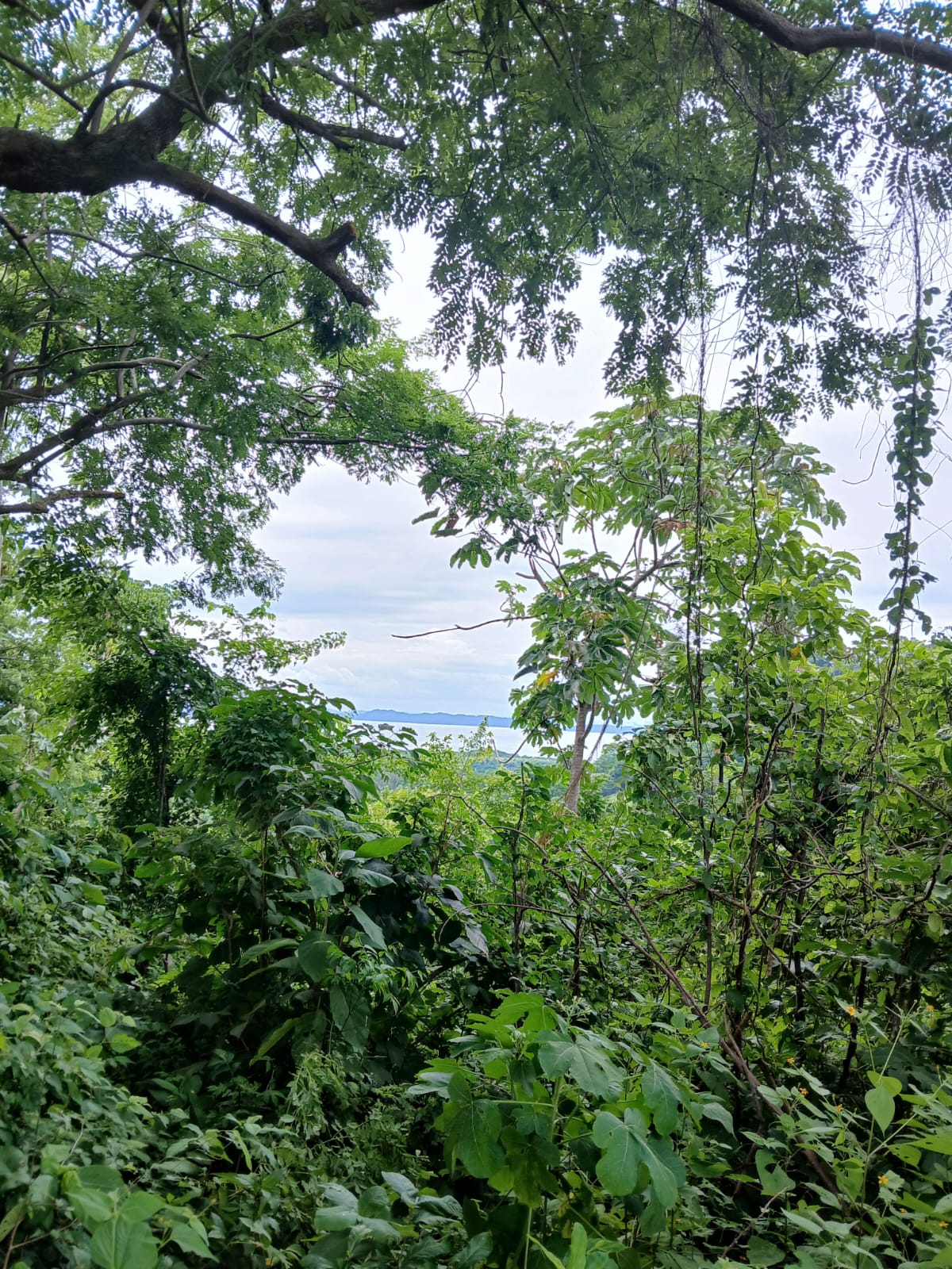 0 bed Land For Sale in Naranjo, Guanacaste - thumb 7