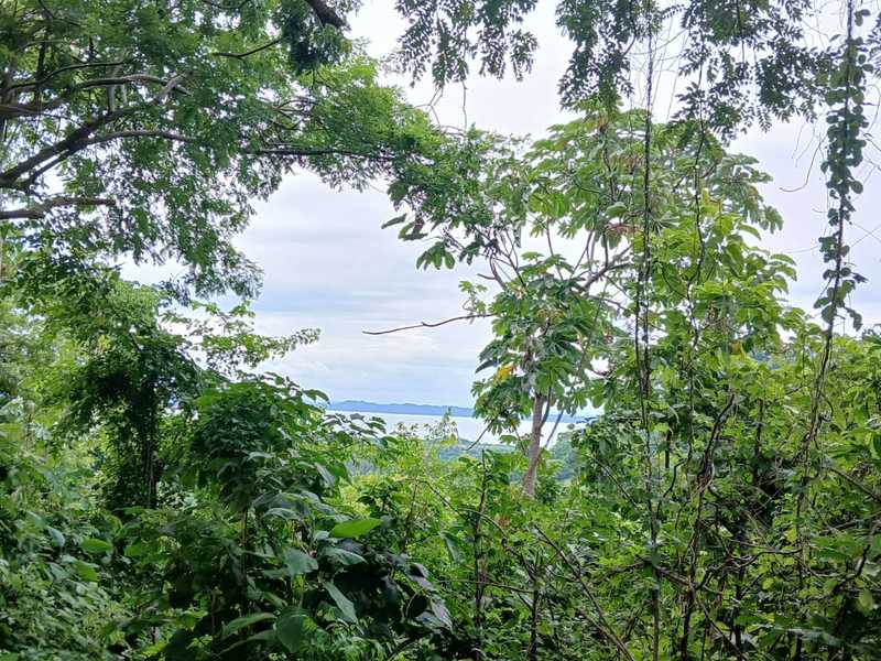 0 bed Land For Sale in Naranjo, Guanacaste - hero 7