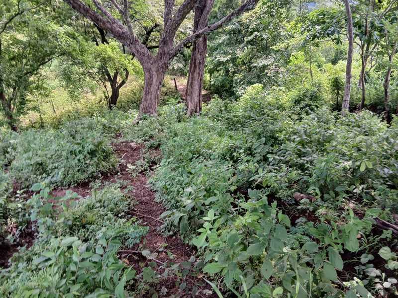 0 bed Land For Sale in Naranjo, Guanacaste - hero 8