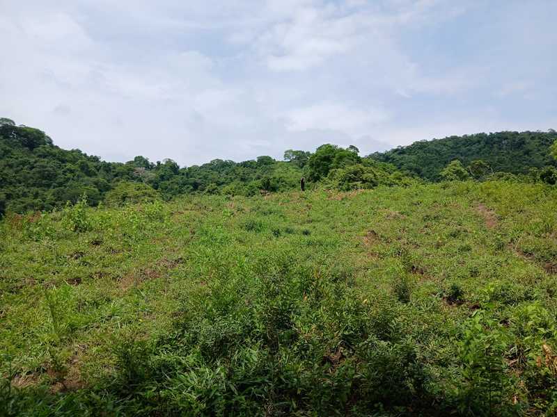 0 bed Land For Sale in Naranjo, Guanacaste - hero 6