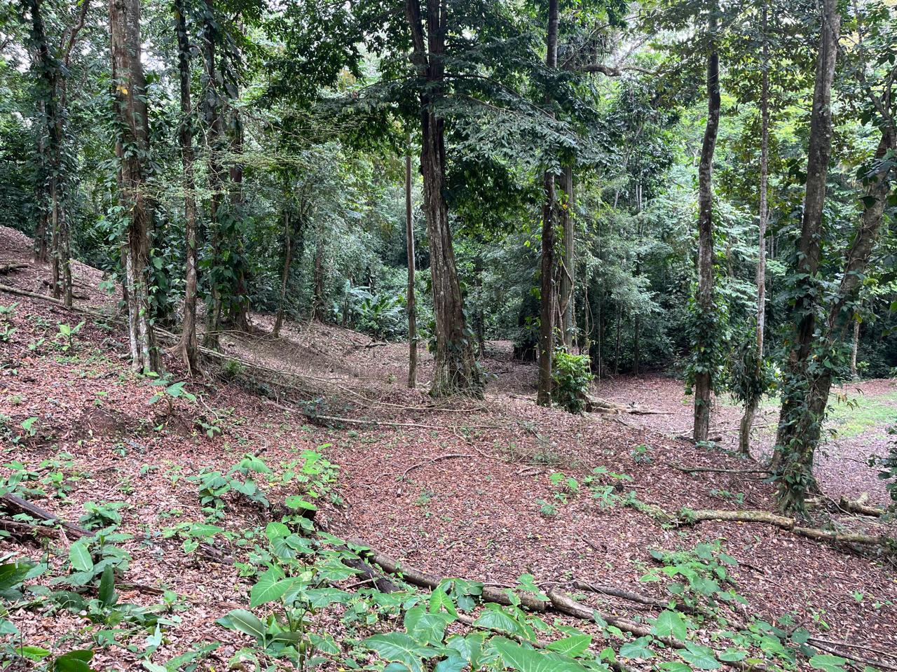 0 bed Land For Sale in Cahuita, Limón - thumb 10