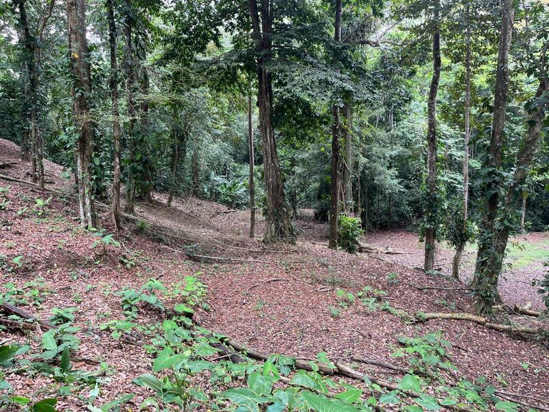 0 bed Land For Sale in Cahuita, Limón - hero 10