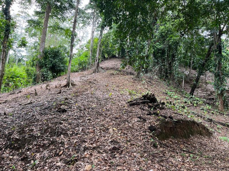 0 bed Land For Sale in Cahuita, Limón - hero 6