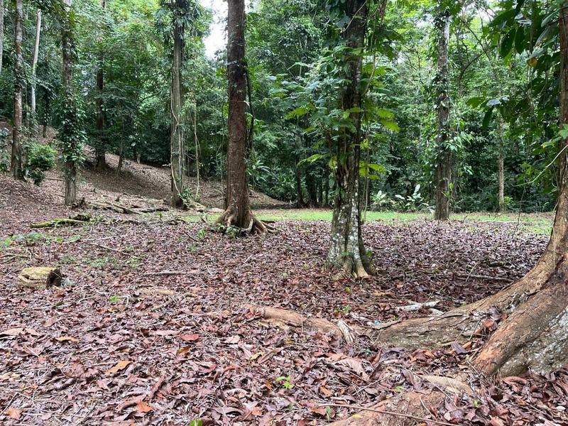 0 bed Land For Sale in Cahuita, Limón - hero 4