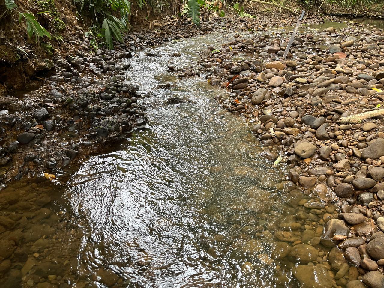 0 bed Land For Sale in Cahuita, Limón - thumb 2