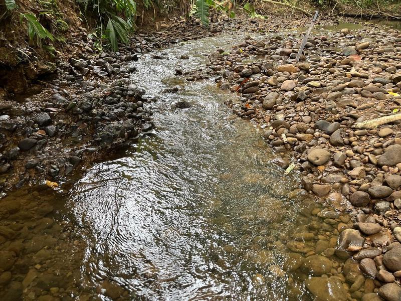 0 bed Land For Sale in Cahuita, Limón - hero 2