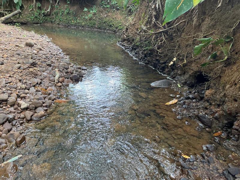 0 bed Land For Sale in Cahuita, Limón - 1