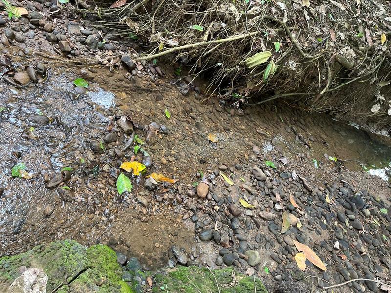 0 bed Land For Sale in Cahuita, Limón - hero 3