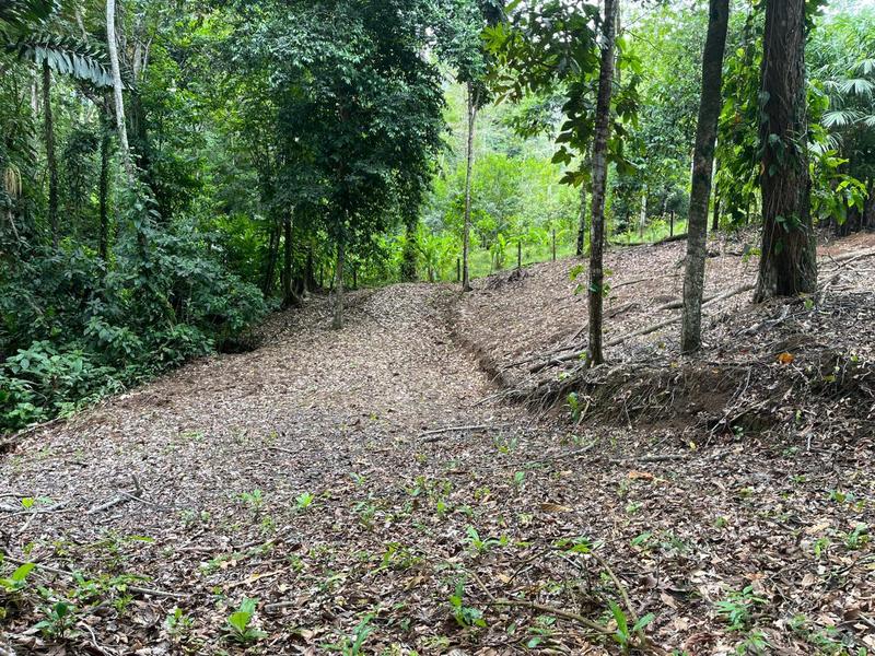 0 bed Land For Sale in Cahuita, Limón - hero 8