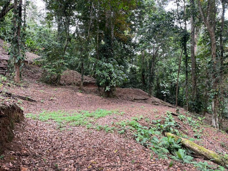 0 bed Land For Sale in Cahuita, Limón - hero 5