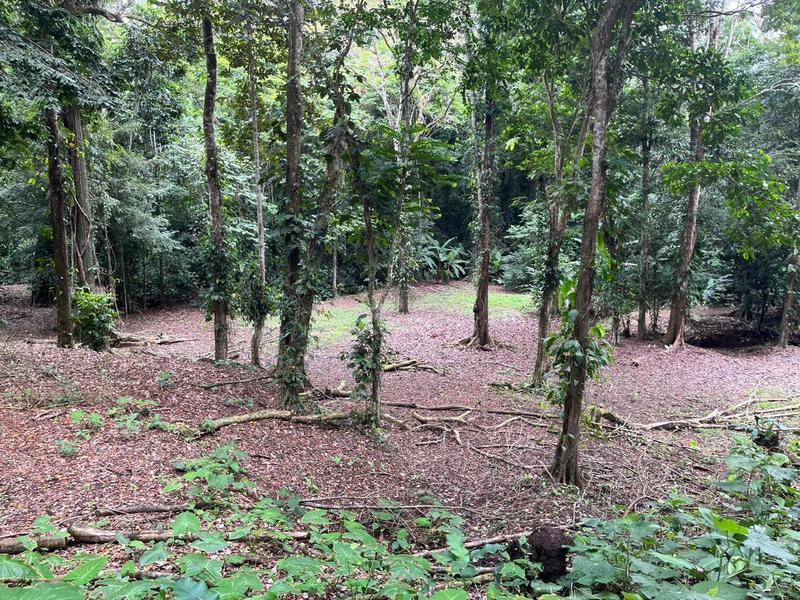 0 bed Land For Sale in Cahuita, Limón - hero 11