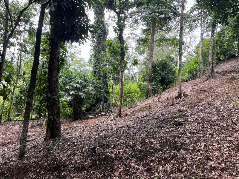 0 bed Land For Sale in Cahuita, Limón - hero 7