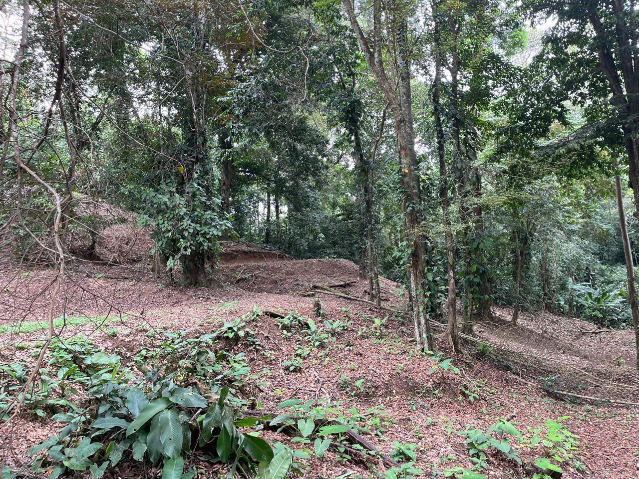 0 bed Land For Sale in Cahuita, Limón - thumb 9